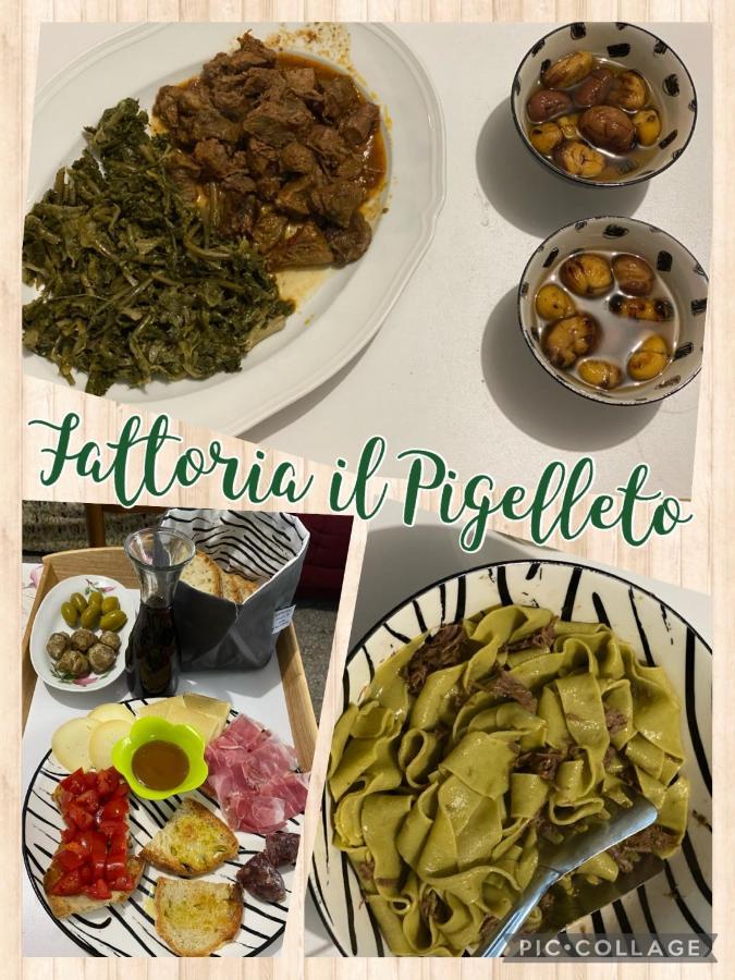 Fattoria Il Pigelleto Villa Piancastagnaio Eksteriør billede