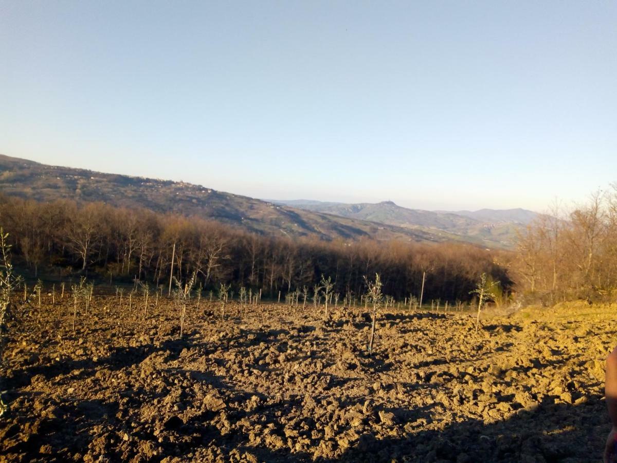 Fattoria Il Pigelleto Villa Piancastagnaio Eksteriør billede