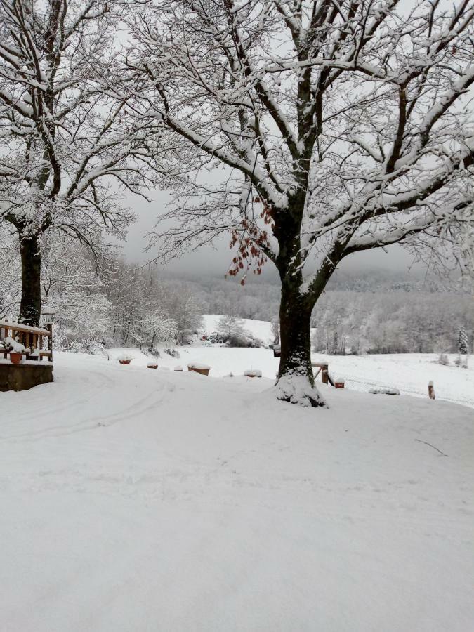 Fattoria Il Pigelleto Villa Piancastagnaio Eksteriør billede
