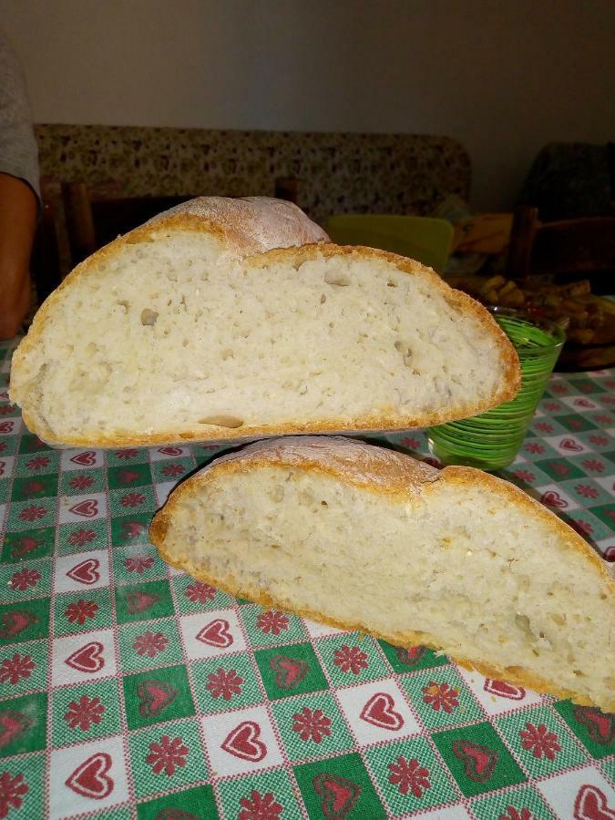 Fattoria Il Pigelleto Villa Piancastagnaio Eksteriør billede